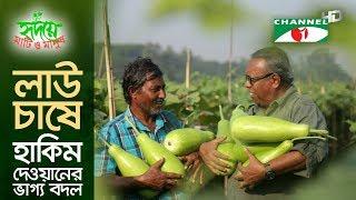 লাউ চাষে হাকিম দেওয়ানের ভাগ্য বদল | Shykh Seraj | Channel i | Bottle Gourd |