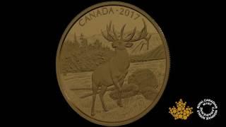 99.999% Pure Gold Coin - The Majestic Elk