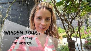GARDEN TOUR MAY- My show garden in May, wisteria, flowers, container garden and a FULL tour…