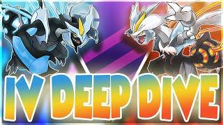 Which Kyurem should YOU fuse!? Black & White Kyurem PVP IV DEEP DIVE