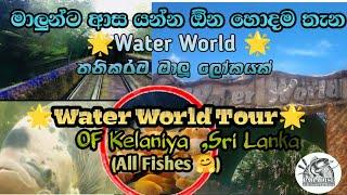 Tour Of Water World with  Underwater Tunnel - Kelaniya ,Sri Lanka