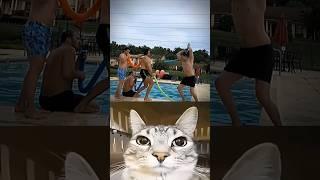 Bro create best scene ️ #cat #meme #dance