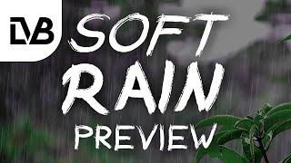 Soft Rain Ambiences - Asset Preview