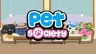 Old Facebook Games: EA / Playfish's Pet Society