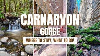 Carnarvon Gorge- QLD's Hidden Gem | Where to Stay, What to Do