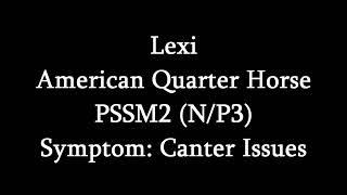 Symptoms Of MIM (PSSM2)- Canter Issues (Lexi)