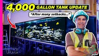 Corals Finally Going into the 4000 Gallon Tank | Surpise Vic Tank Update!