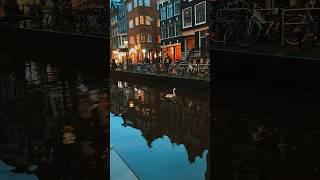 Red light district Amsterdam walk ‍️ Full version⬆️ #journey #explore #christmas  #shorts