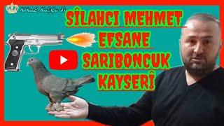 ️ Sarı boncuklular efsane güvercin (oyun kuşu)  kayseri