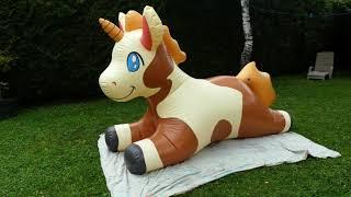 inflatable  unicorn phenodtoy