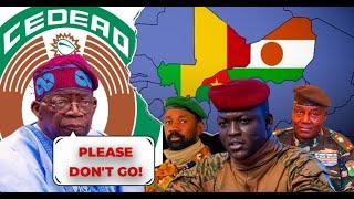 ECOWAS Begs AES States Niger, Mali & Burkina Faso to Stay for 6 More Months