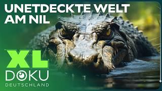 Expedition entlang des Nils | Afrikas größte Naturwunder | XL Doku Deutschland