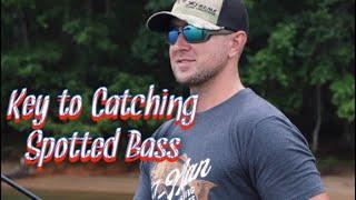 The Key to Spotted Bass Fishing