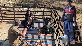 Ali herd getting sick and medical measures to treat them