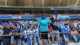 Löwen aus Leidenschaft - Der TSV 1860 München und seine Fans