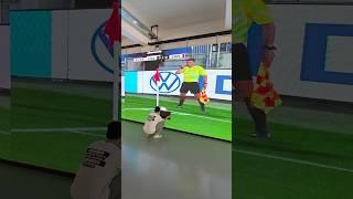 Broadcasting the game on an ultra-HD LED screen — what a thrill!#yuchip #leddisplay #ledscreen