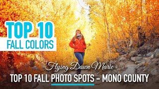 272: Top 10 Fall Photo Spots in Mono County, CA - Eastern Sierra Fall Colors Travel Guide