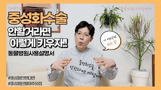 중성화수술 안한다면 이렇게 키우세요ㅣ중성화 안할때 주의할 점ㅣ와벳TV l 동물병원사용설명서