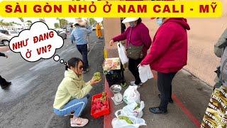 TẤP NẬP Cuộc Sống Người Việt ở Little Saigon Nam Cali - TT Thúy Nga ở Mỹ có gì?