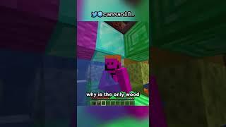 Minecraft, But The WORLD Is Random...