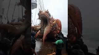  Giant Sea Creatures Caught!  Unbelievable Finds!#GiantSeaCreatures #FishingAdventure