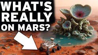 Is there REALLY any EXTRATERRESTRIAL LIFE in OUR Solar System? | DOCUMENTARY