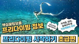 Start freediving in Korea, end your worries with one video