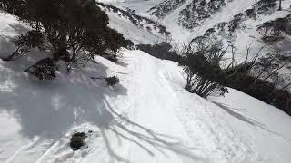 Mt Hotham 2022 Nononsense Run