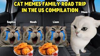 Cat Memes Family Road Trip in the US Compilation