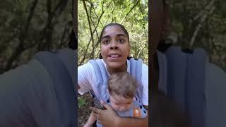 Mom dad and son get attacked by an alligator #shorts