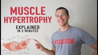 What is Muscle Hypertrophy? | Physiology and Mechanisms of Muscle Growth in 5 minutes!