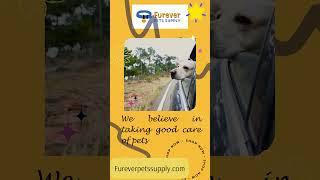 Furever Pets Supply