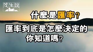 什麼是匯率？匯率到底是怎麼決定的，你知道嗎？