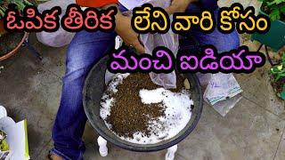 liquid fertilizers చేసుకోలేని వాళ్ళు, ఇలా చెయ్యొచ్చు, alternative for liquid fertilizers