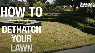 How To Dethatch Your Lawn - Bunnings Warehouse