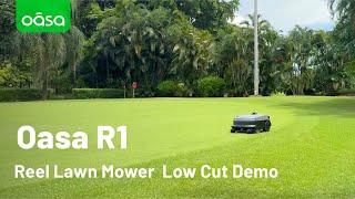 Oasa R1 Reel Lawn Mower Low Cutting Demo