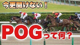 【POG入門】おしウマ!!グリさんに聞く！POGの始め方と指名馬の選び方！