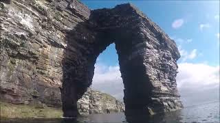 Caithness Spectacular taster preview