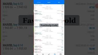 Robot Trading Gold Terbaik FastScalp Profit 406% 16 Hari