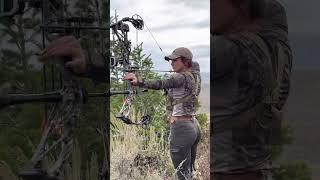 Archery Elk Hunt: Passing a Small Bull in Idaho