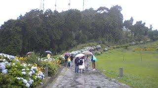 Dello hill Kalimpong || Dello hill in Rain || Kalimpong