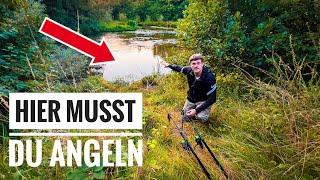 Was passiert an dieser BESONDEREN KARPFEN-STELLE? GREWALD unterwegs am Fluss