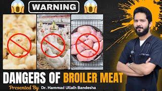 Side Effects of Broiler || Chicken || Dr. Bandesha