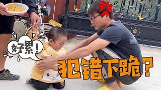 Xiao Huihui is always lazy while learning to walk, and suddenly kneels to his father?