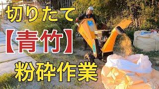 海の秘密基地＃１９８【竹林整備】２回目竹のみを粉砕