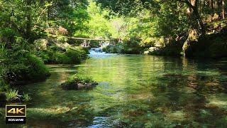 4K video + natural environment sound ASMR  / The Enbara River with amazingly beautiful water.