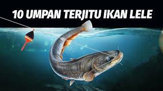 10 Umpan Terjitu Mancing Ikan Lele / Ikan Keli / Catfish! Jos Banget!