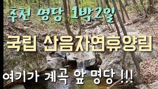 국립 산음자연휴양림/추천 명당 1박2일 /계곡 통발낚시