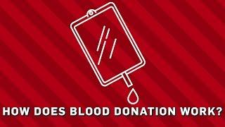 How Does Blood Donation Work? | Earth Science