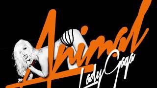 Lady Gaga - LoveGame / Animal (Mashup)